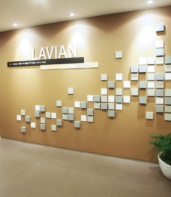 Lavian plastic surgery4